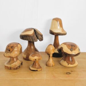 Assorted Wooden Mushrooms